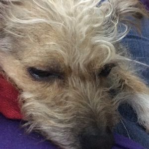 Meet your Posher, Julie